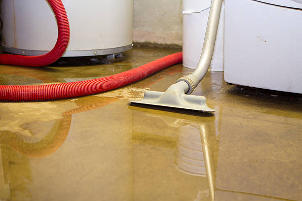 Best Basement water damage restoration  in Martins Ferry, OH