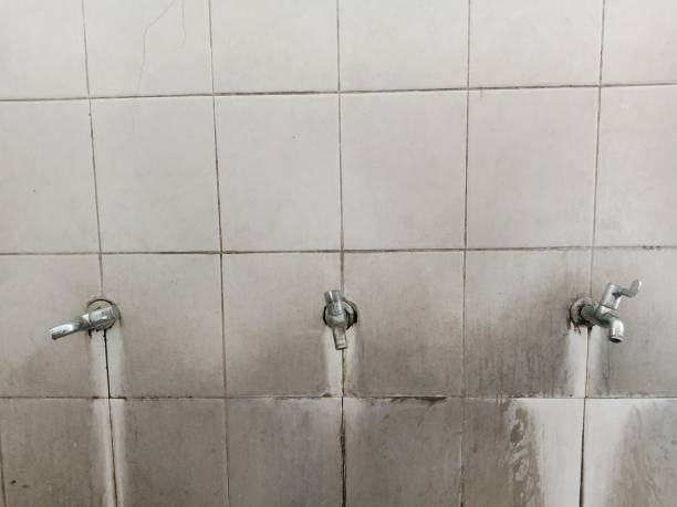 Best Flood damage cleanup  in Martins Ferry, OH