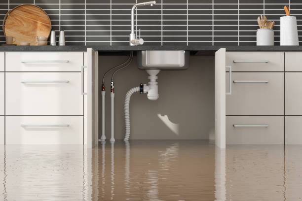 Best Basement water damage restoration  in Martins Ferry, OH