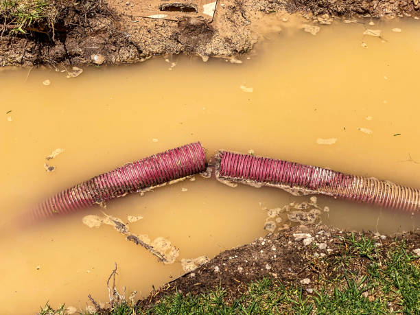 Local water damage restoration in OH