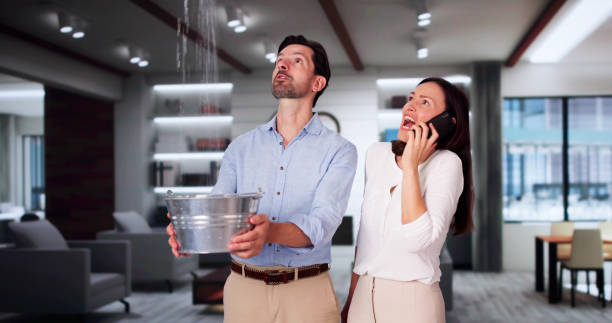 Best Local water damage restoration  in Martins Ferry, OH